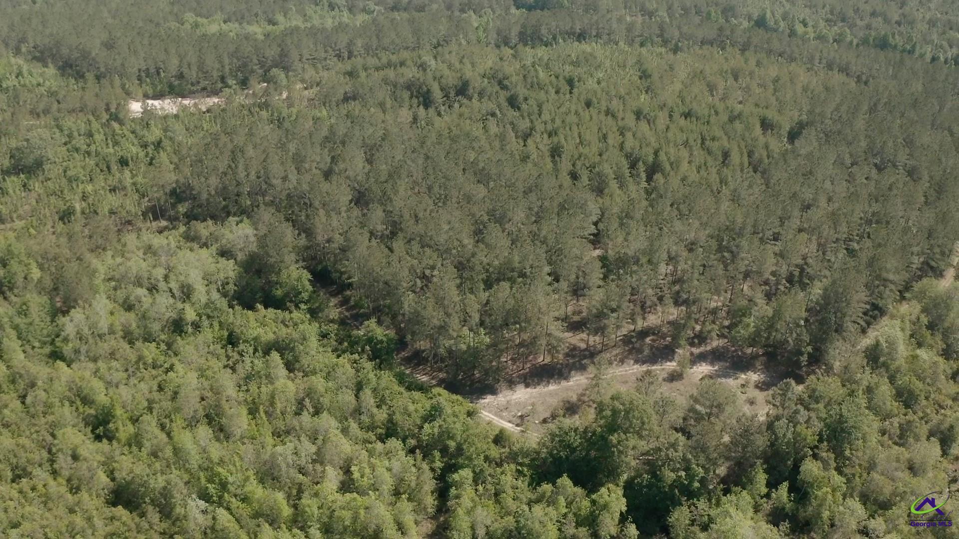 Carl Sutton Road Lizella, GA 31052 - Photo 19 of 23