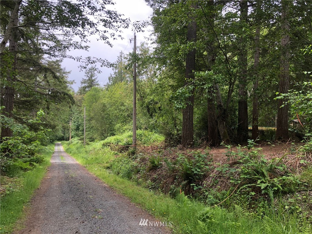 99-xx Fox Road Quilcene, WA 98376 - Photo 6 of 10 Gallery Image 6