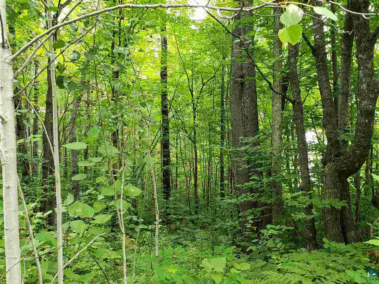 9-xxxx Lamont Road Bayfield, WI 54814 - Photo 2 of 7 Gallery Image 2