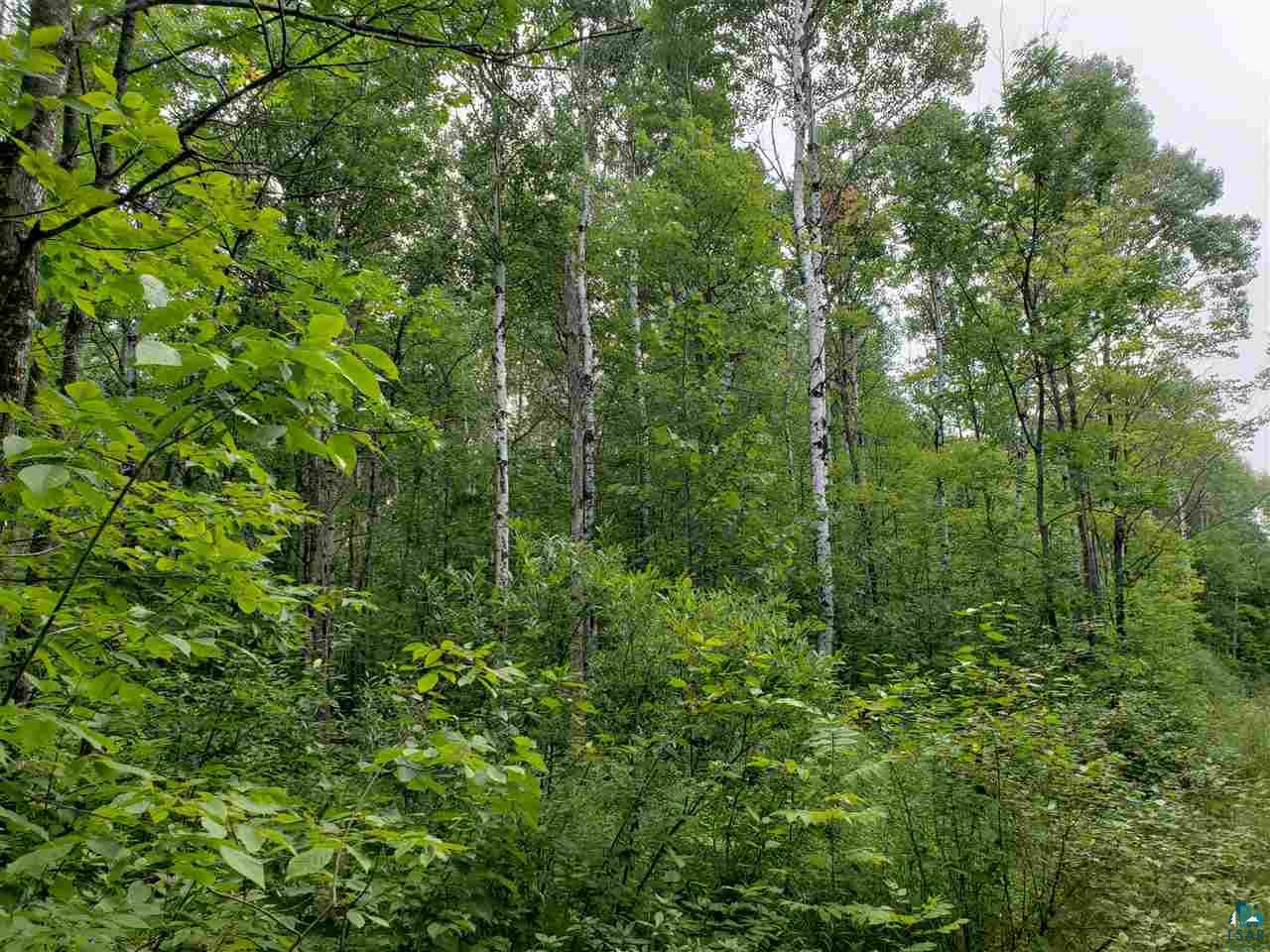 9-xxxx Lamont Road Bayfield, WI 54814 - Photo 4 of 7 Gallery Image 4