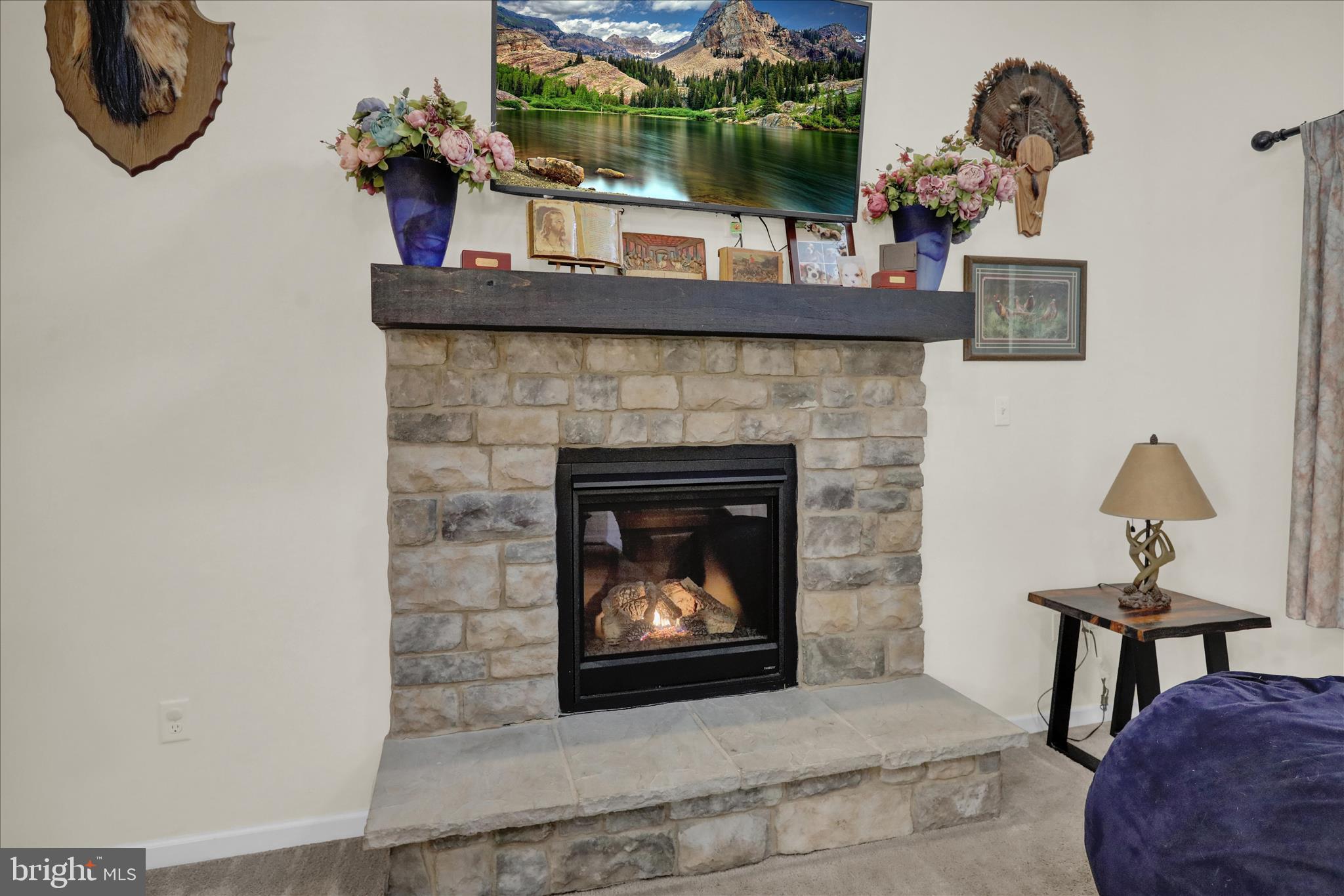 402 Mountainside Road Temple, PA 19560 - Photo 33 of 75 a living room with a fireplace and a potted plant