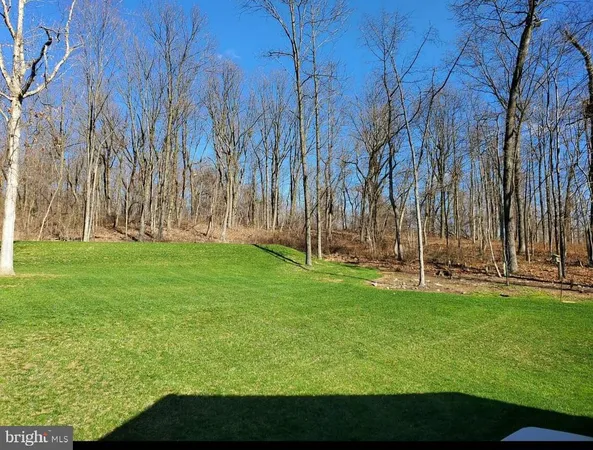 a view of a yard