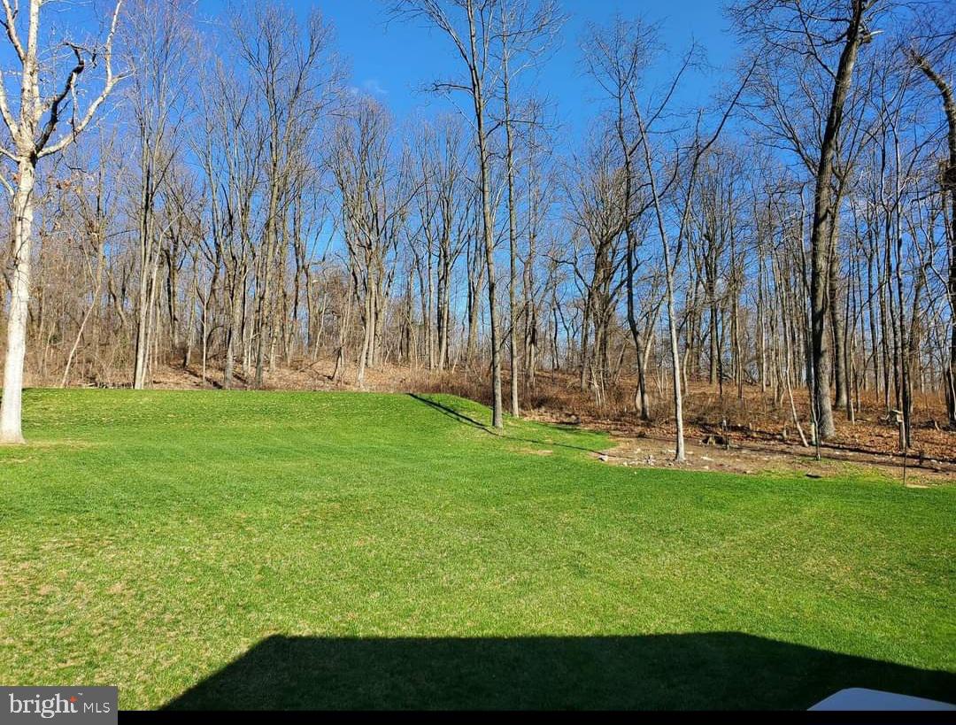 402 Mountainside Road Temple, PA 19560 - Photo 7 of 75