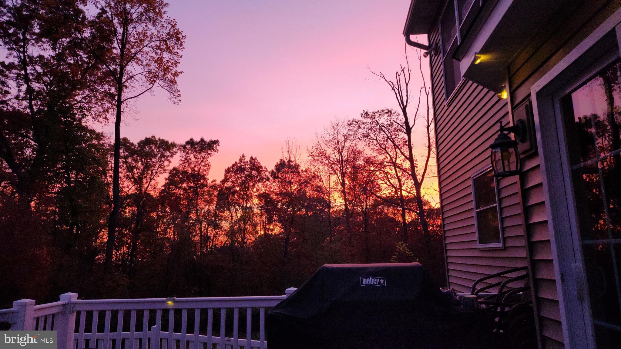 402 Mountainside Road Temple, PA 19560 - Photo 8 of 75 a view of balcony with a yard