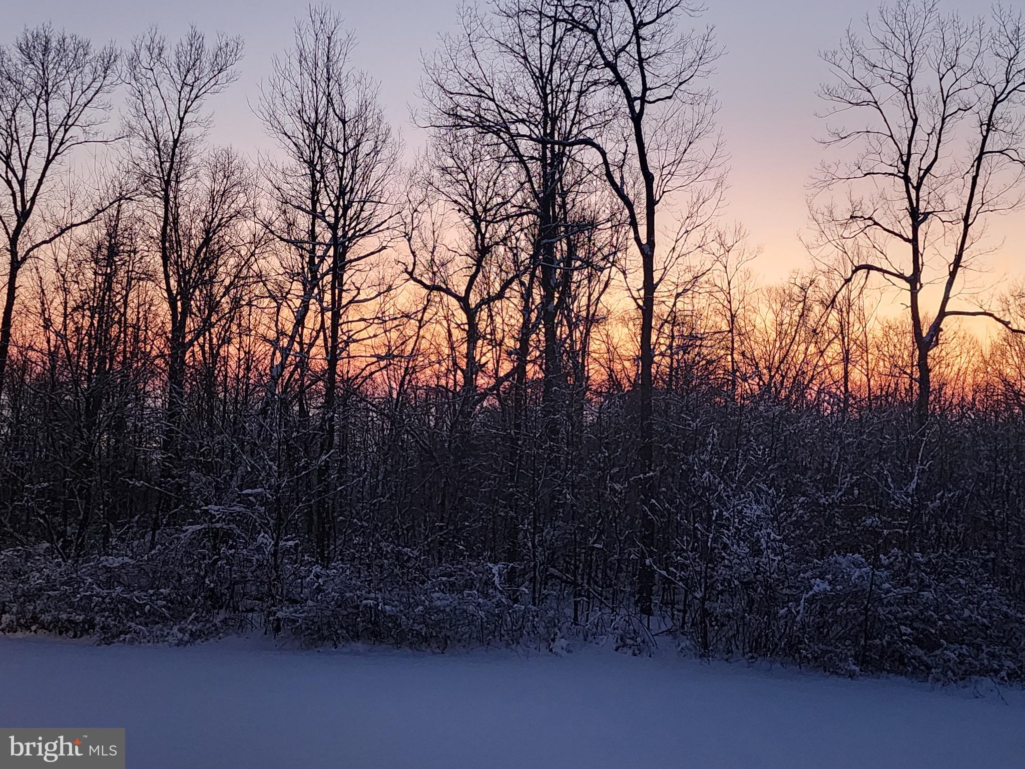 402 Mountainside Road Temple, PA 19560 - Photo 9 of 75