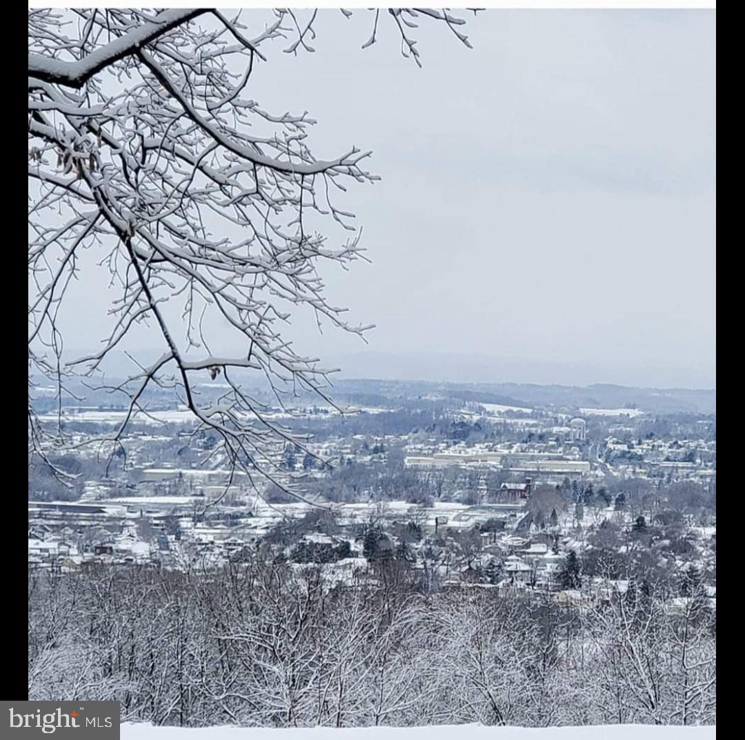 402 Mountainside Road Temple, PA 19560 - Photo 10 of 75 a view of a yard