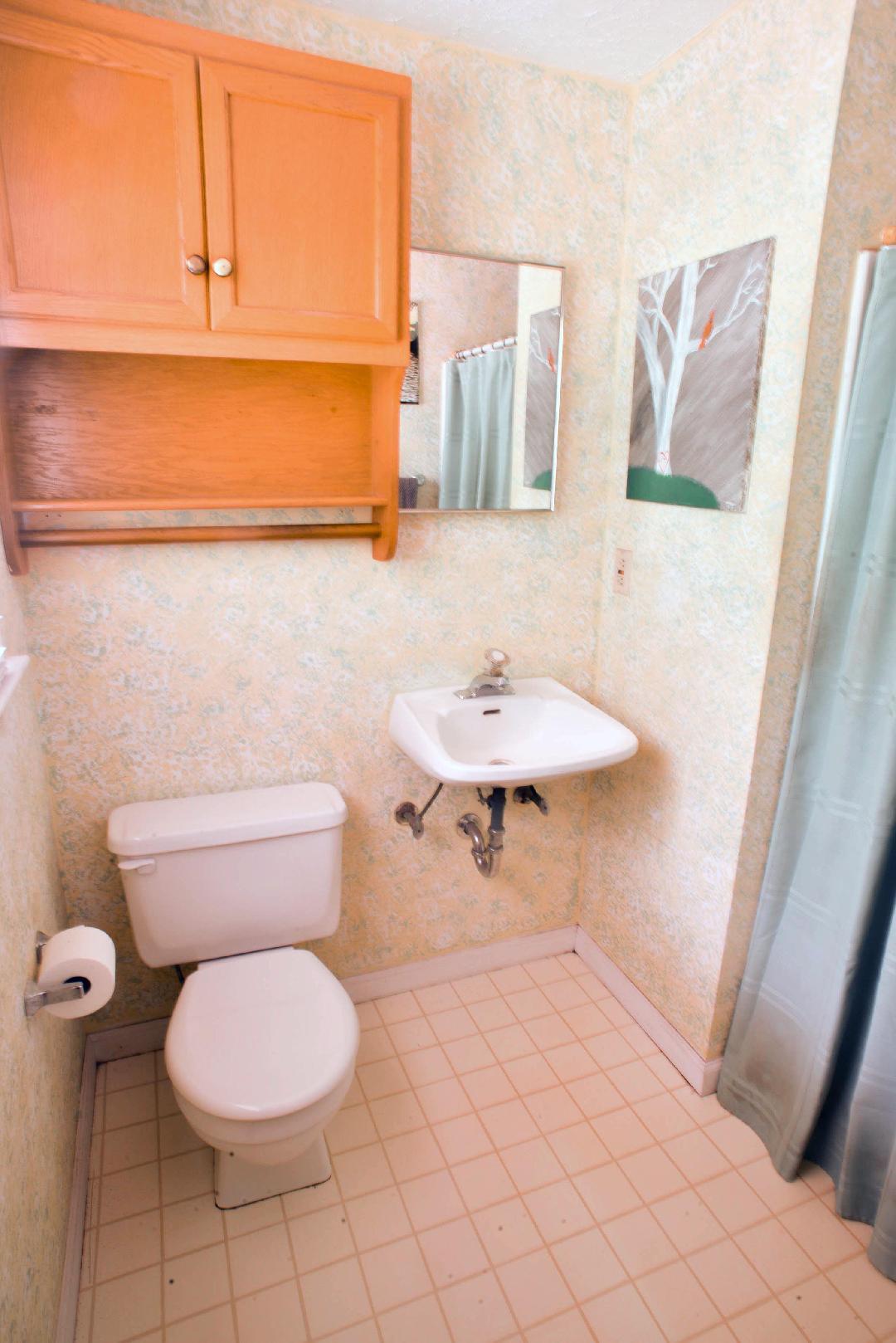1929 Goose Dam Road Rocky Mount, VA 24151 - Photo 11 of 26 13 Master Bath