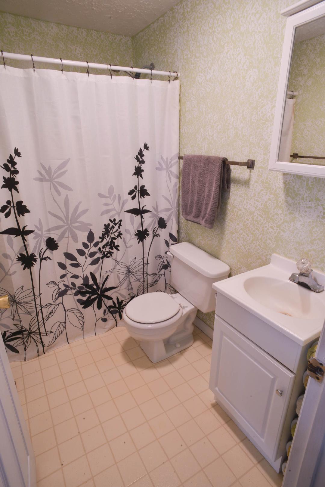 1929 Goose Dam Road Rocky Mount, VA 24151 - Photo 14 of 26 10 Hall Bath