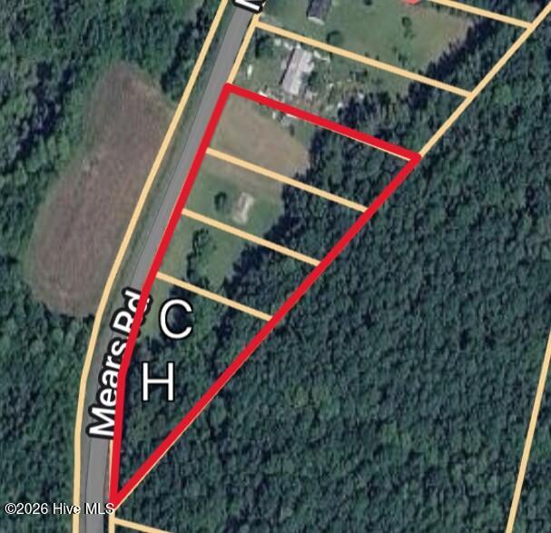 999 Mears Road Clarkton, NC 28433 - Photo 1 of 8 Ariel