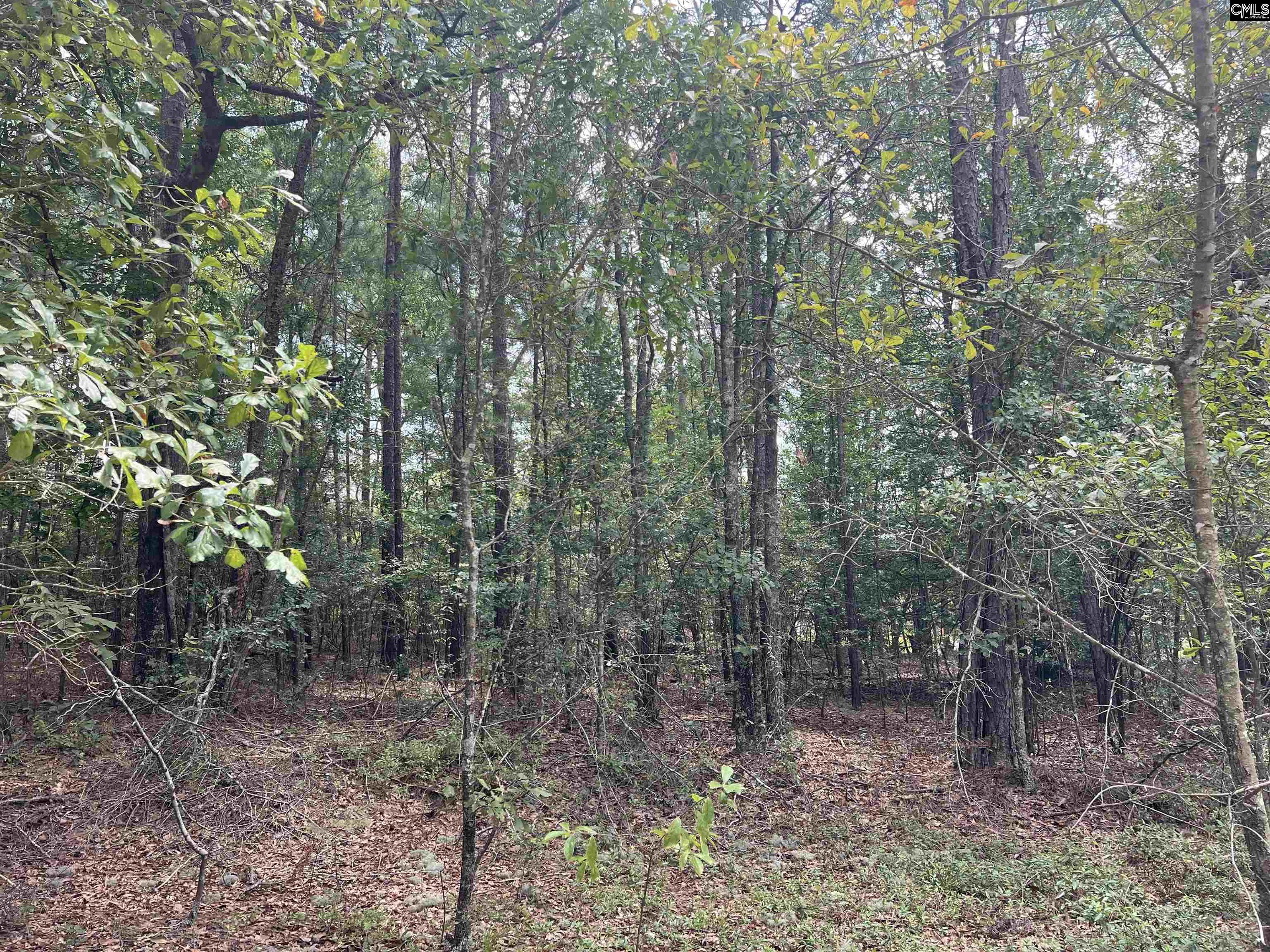 0 Cliff Road Pelion, SC 29123 - Photo 14 of 28
