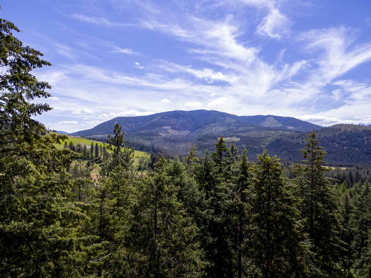 701 Dry Gulch Road Colville, WA 99114 - Photo 5 of 20