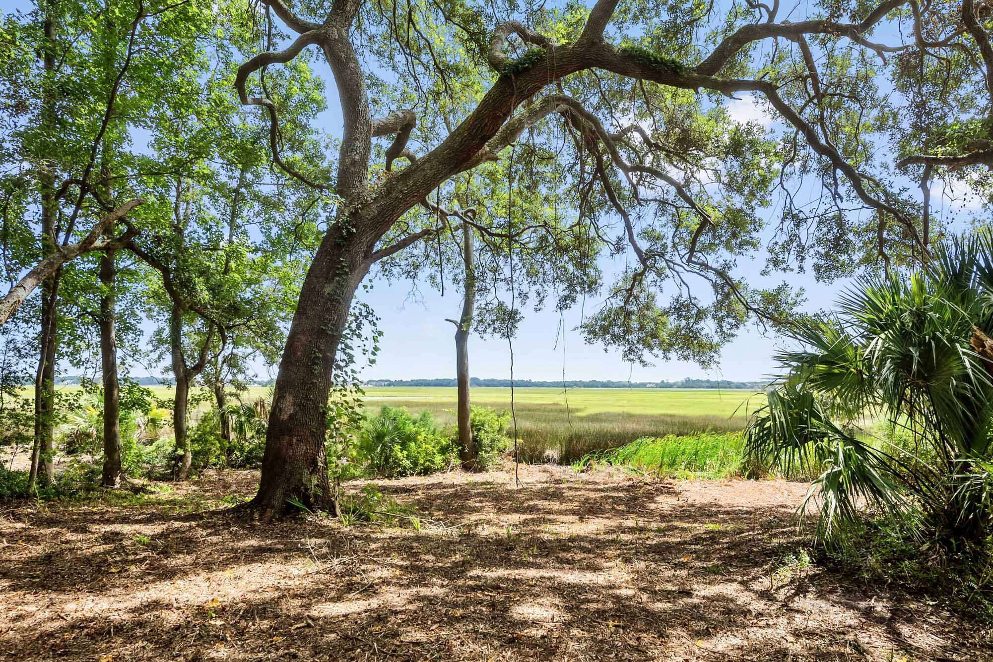 2815 Roseville Road Wadmalaw Island, SC 29487 - Photo 7 of 29 ROSEVILLE-4