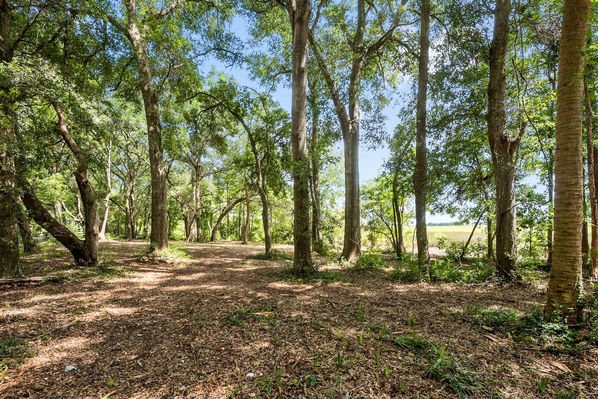 2815 Roseville Road Wadmalaw Island, SC 29487 - Photo 8 of 29 ROSEVILLE-5