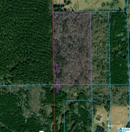 $247,000 | 0 Homestead Drive, Springville, AL 35146