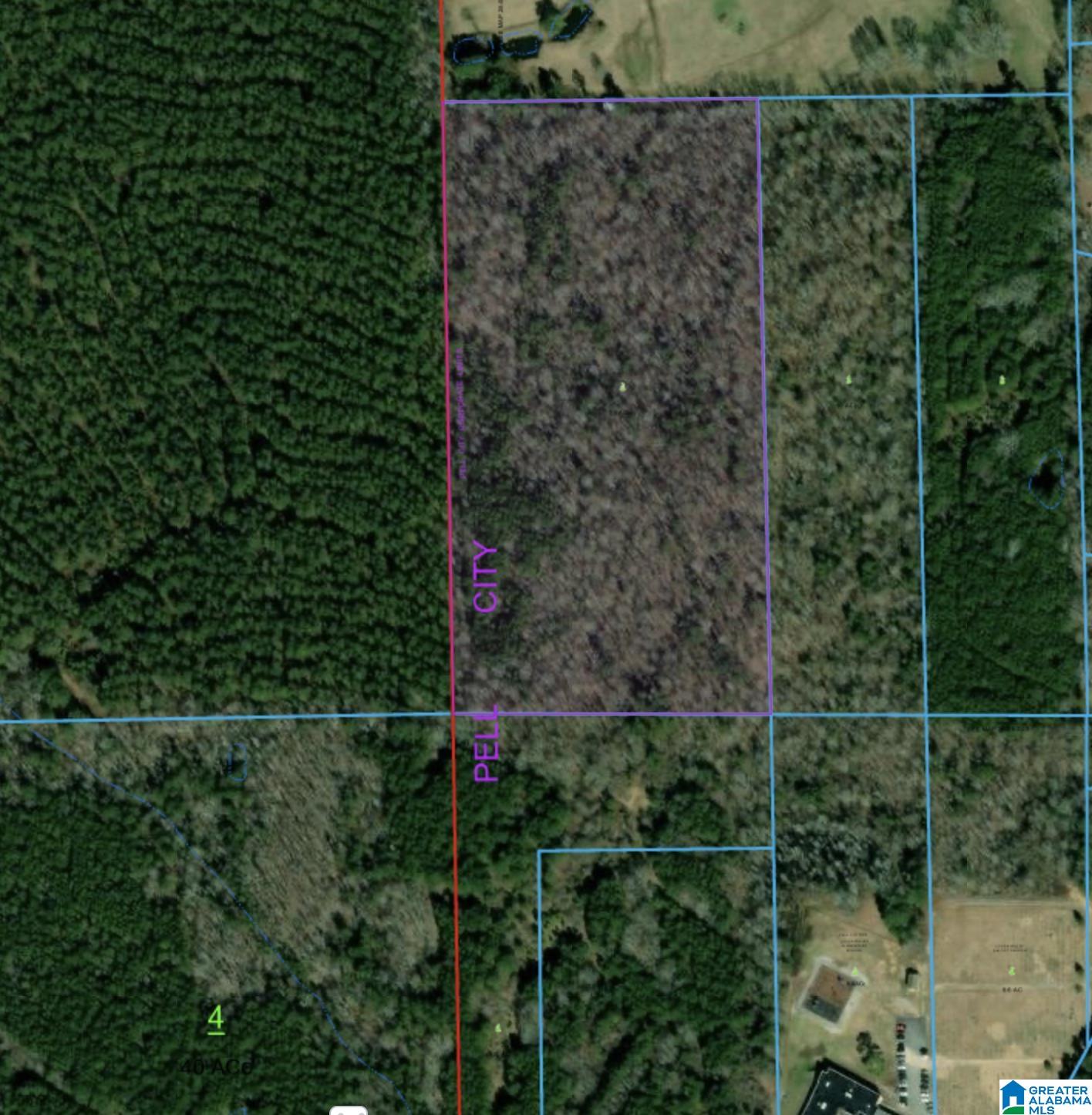 0 Homestead Drive Springville, AL 35146 - Photo 1 of 2