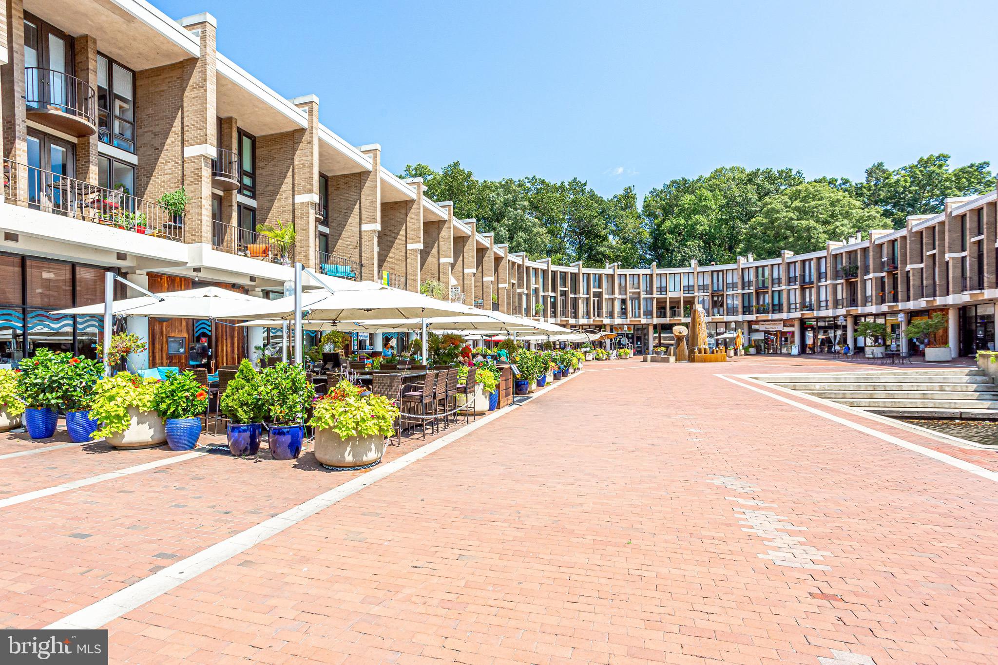 11400 Washington Plaza West, Unit 103 Reston, VA 20190 - Photo 50 of 57 a view of a swimming pool with a potted plants