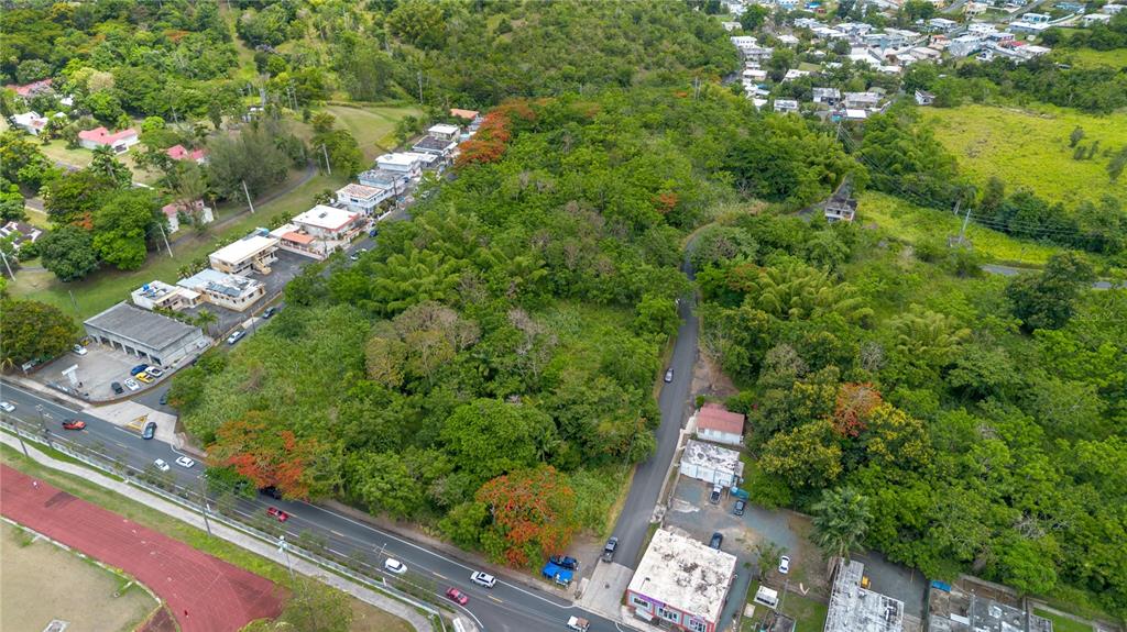 14 Km 71.2 Cayey, Cayey 00736 - Photo 6 of 11