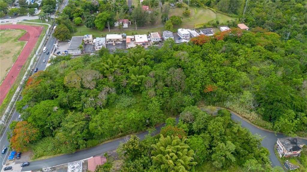 14 Km 71.2 Cayey, Cayey 00736 - Photo 7 of 11