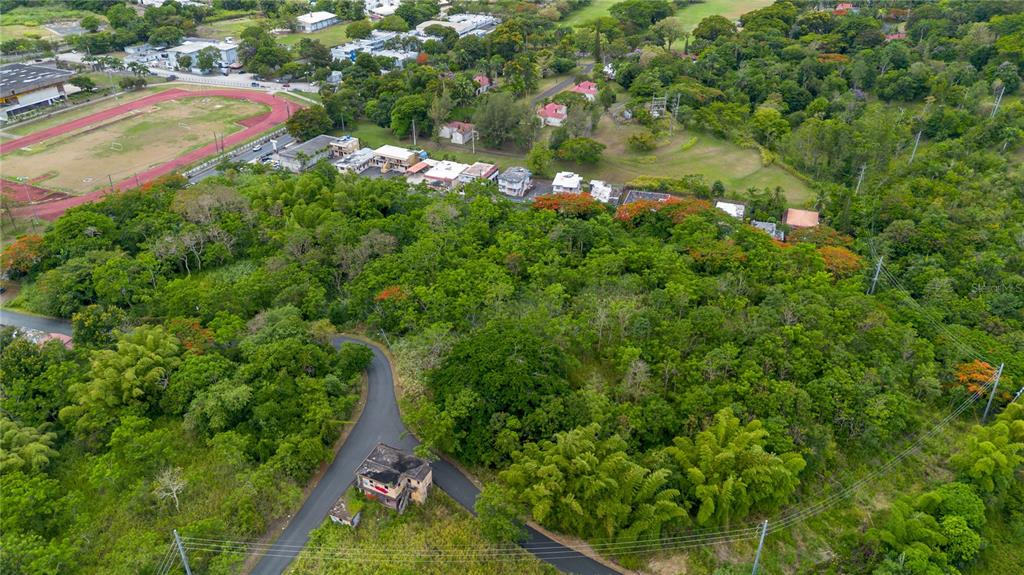 14 Km 71.2 Cayey, Cayey 00736 - Photo 9 of 11