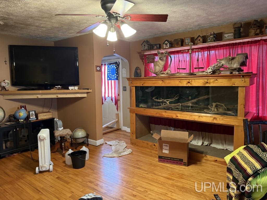 E2903 H44 Road Trenary, MI 49891 - Photo 2 of 47 Gallery Image 2