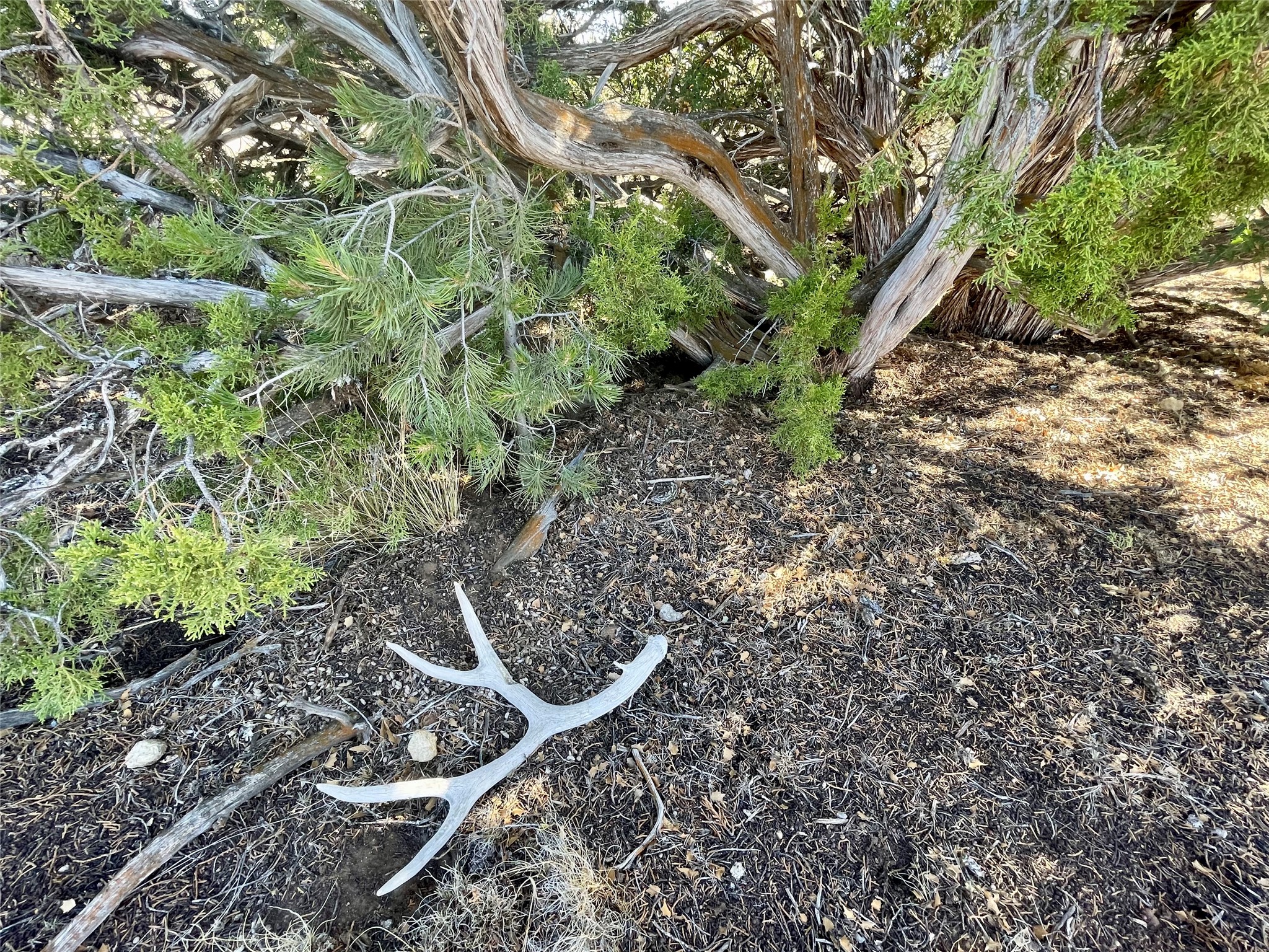 65 Grenfell Ranch Road Cerrillos, NM 87010 - Photo 10 of 46