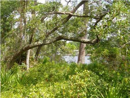 35 Botany Boulevard Santa Rosa Beach, FL 32459 - Photo 3 of 6 Gallery Image 3