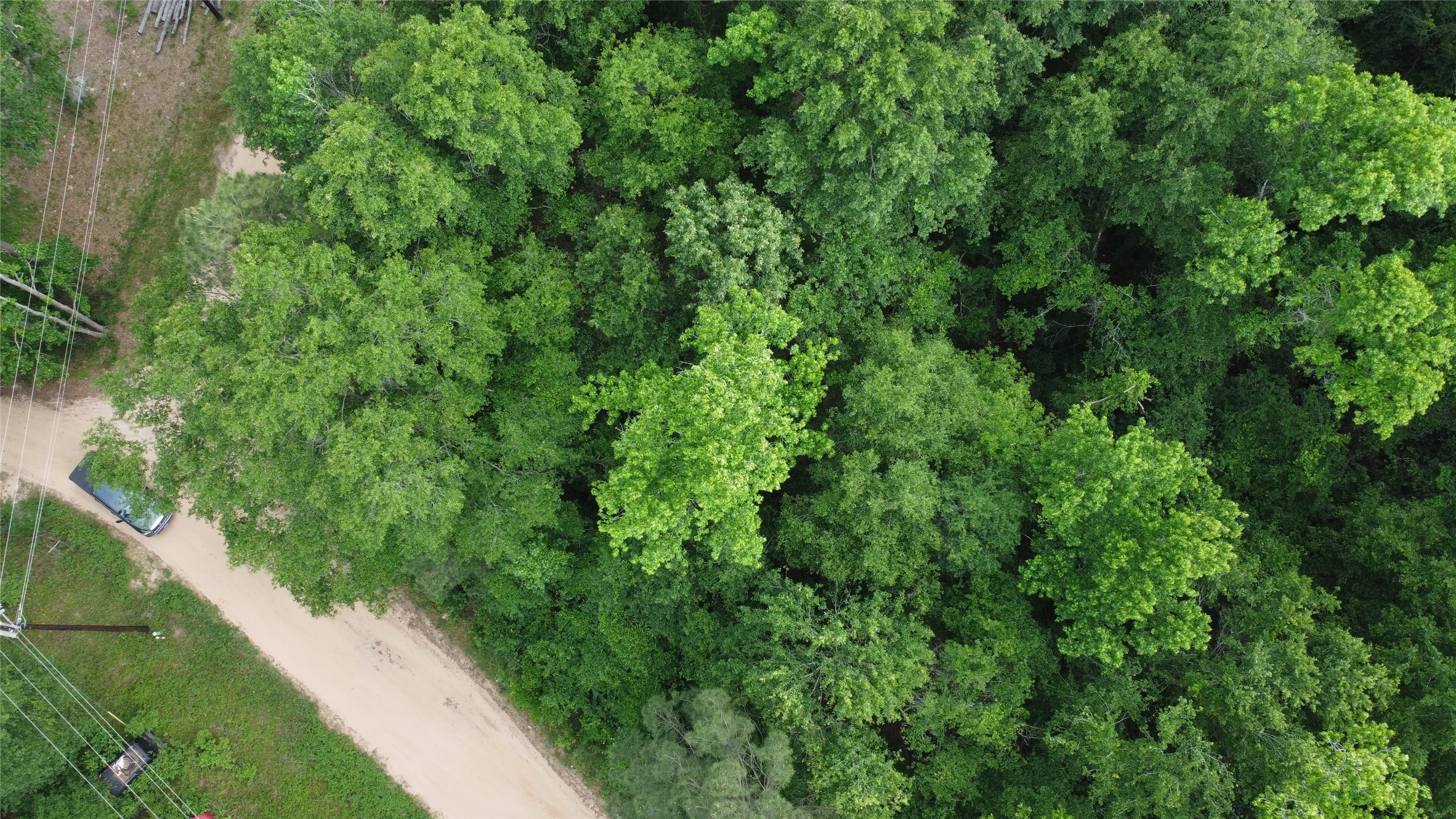 Tbd Blue Quail Lane Coldspring, TX 77331 - Photo 4 of 7