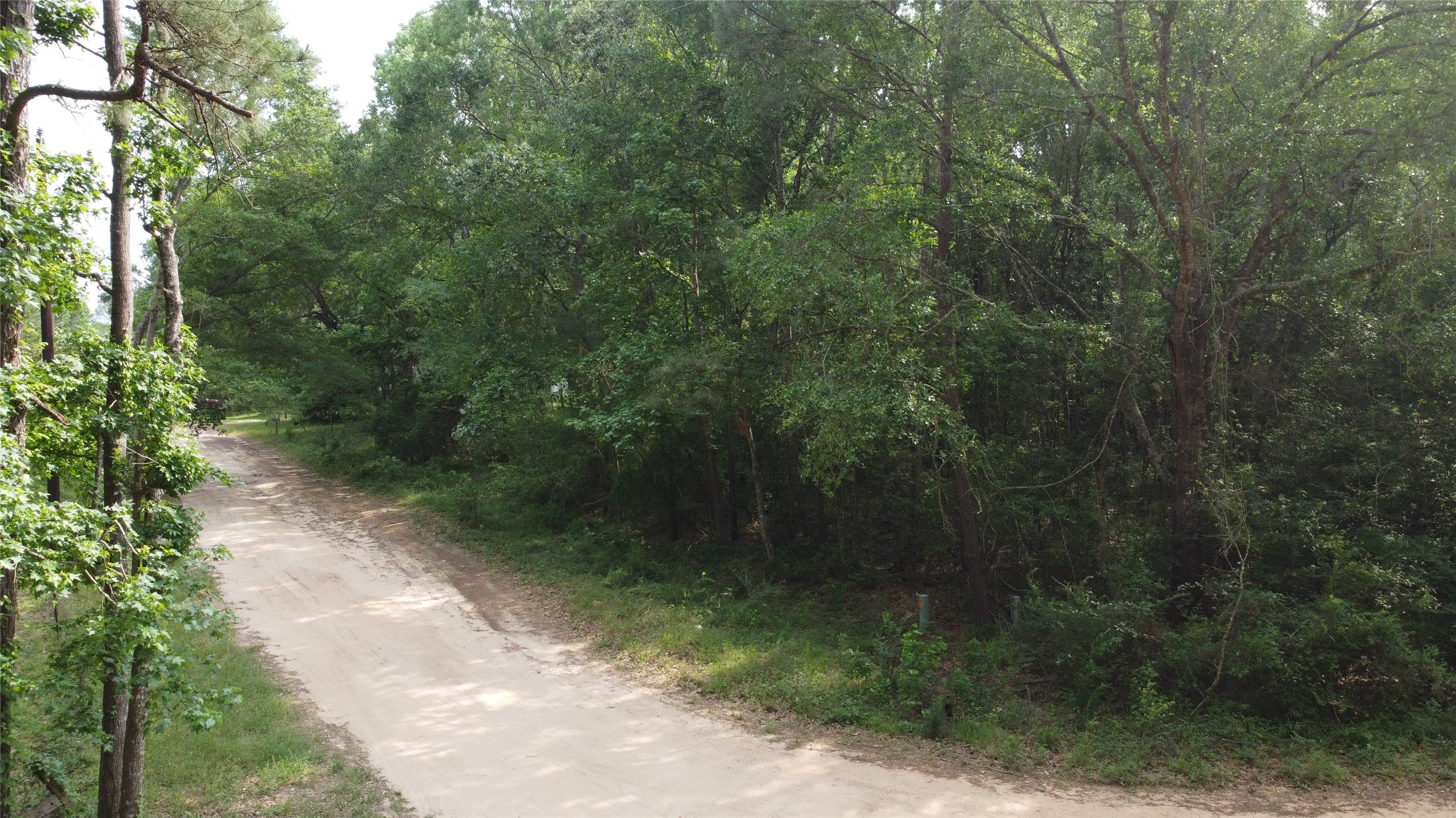 Tbd Blue Quail Lane Coldspring, TX 77331 - Photo 6 of 7