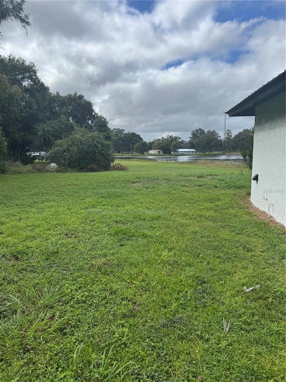 18208 State Road 52 Land O Lakes, FL 34638 - Photo 25 of 44 a view of a field with an trees in front of it