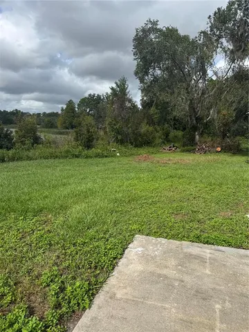 a view of a grassy field with trees