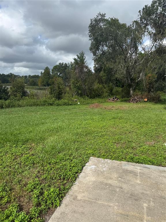 18208 State Road 52 Land O Lakes, FL 34638 - Photo 35 of 44 a view of a grassy field with trees