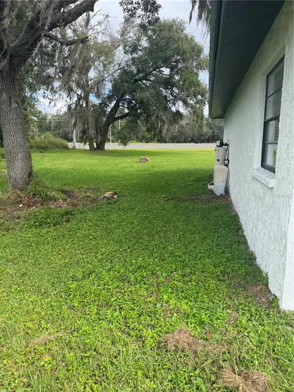 18208 State Road 52 Land O Lakes, FL 34638 - Photo 36 of 44 a view of a big yard with large trees
