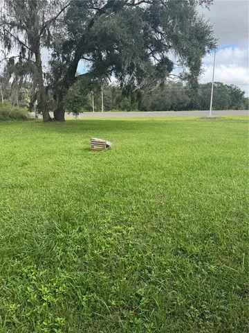 a view of a garden with a tree