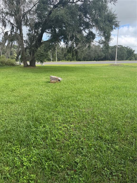 18208 State Road 52 Land O Lakes, FL 34638 - Photo 39 of 44 a view of outdoor space and yard