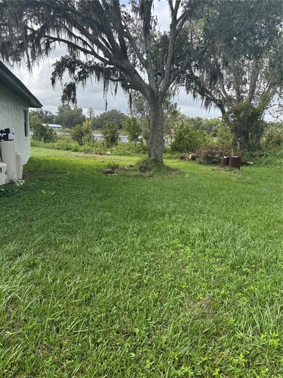 18208 State Road 52 Land O Lakes, FL 34638 - Photo 40 of 44 a view of a garden with a tree