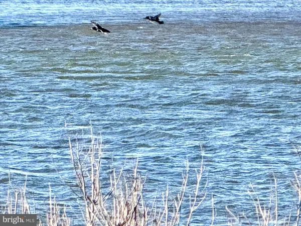 $101,250 | 0 Champ Road, Princess Anne, MD 21853