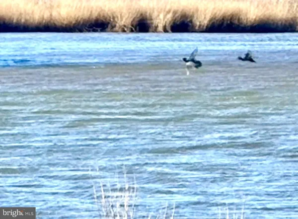 $101,250 | 0 Champ Road, Princess Anne, MD 21853