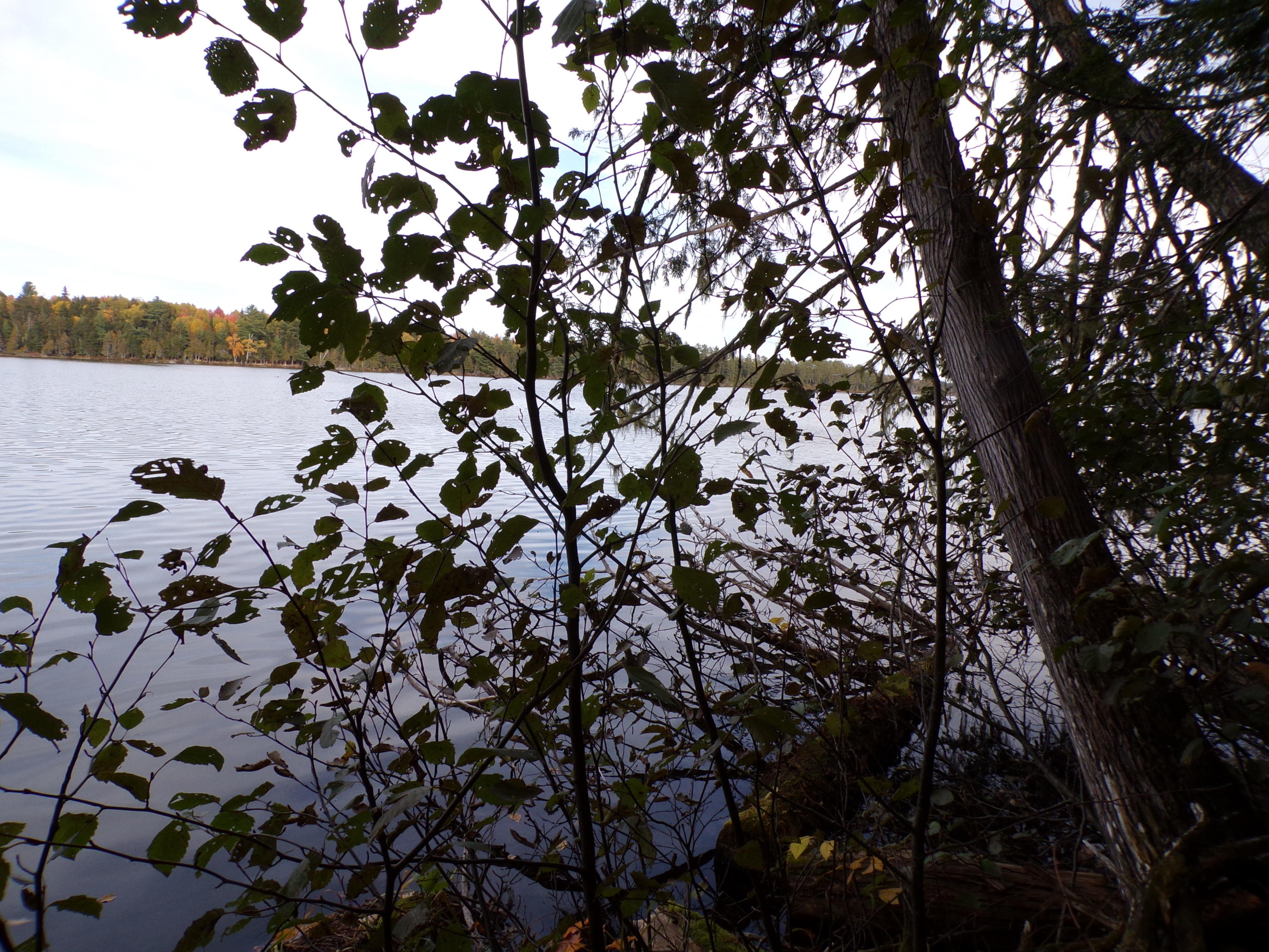999 Sugar Berth Road Oxbow, ME 04764 - Photo 27 of 59 102_0360