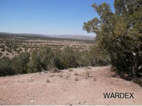 29437 West W Ridge Seligman, AZ 86337 - Photo 8 of 14 Additional Photo
