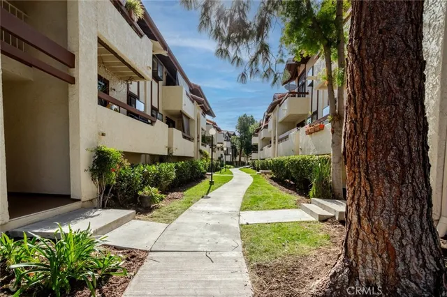a view of a garden with plants