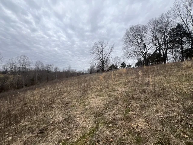a view of yard covered with snow