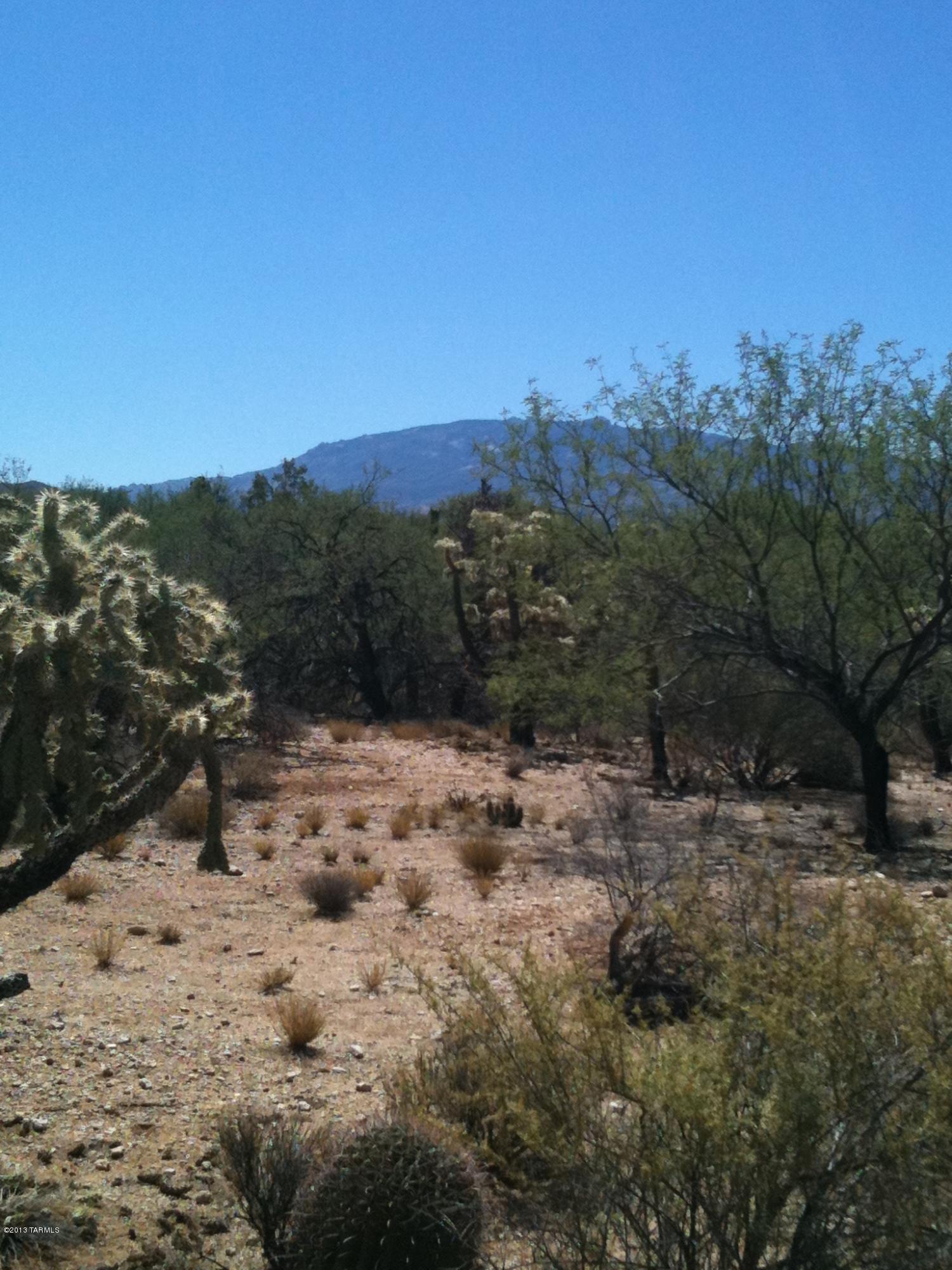 Prince Road, Unit A Tucson, AZ 85749 - Photo 9 of 16