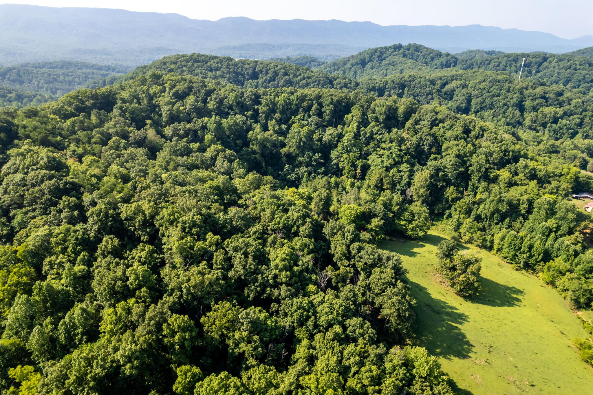 4 Blockhouse Road Maryville, TN 37803 - Photo 6 of 21 a view of a lush green forest with trees in the background