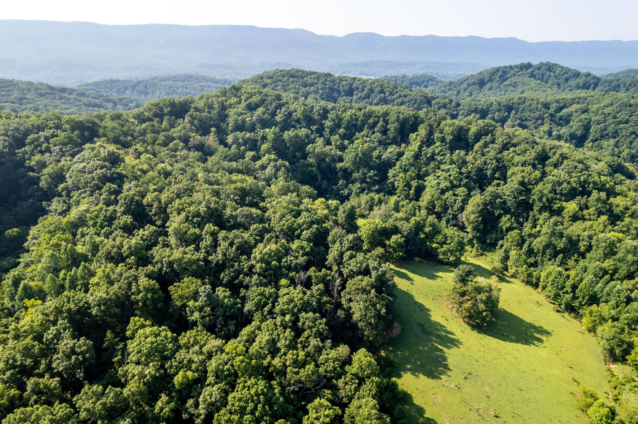 4 Blockhouse Road Maryville, TN 37803 - Photo 7 of 21 a view of a forest with a street