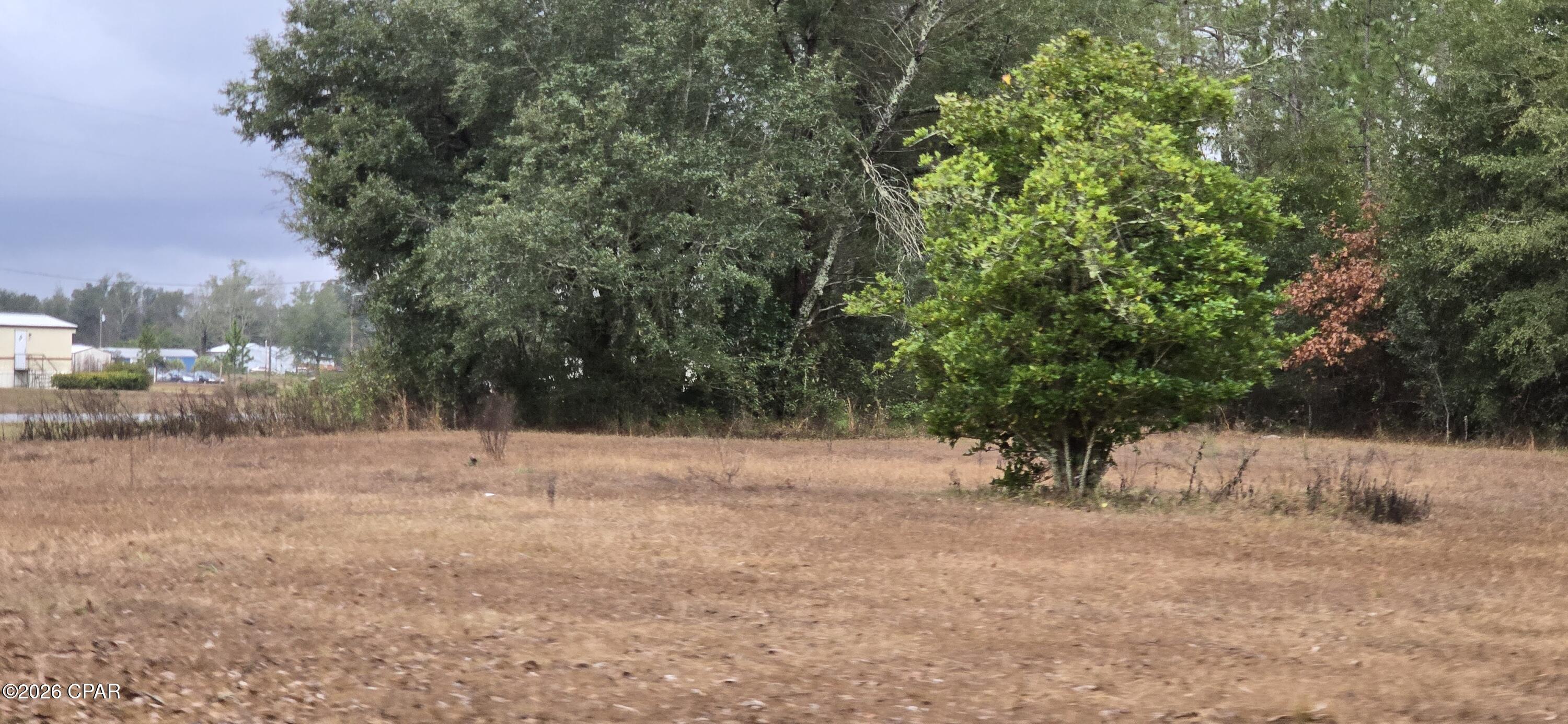 4561 Basswood Road Greenwood, FL 32443 - Photo 2 of 9