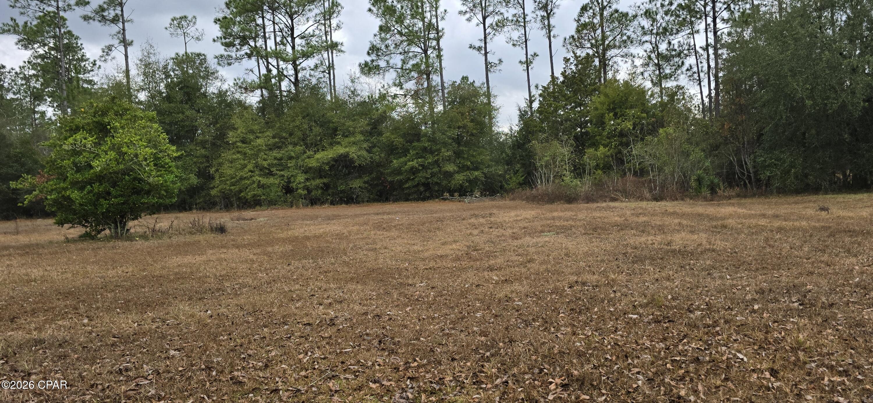 4561 Basswood Road Greenwood, FL 32443 - Photo 6 of 9