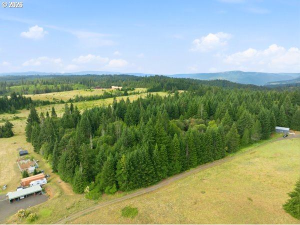 Snowden Road White Salmon, WA 98672 - Photo 11 of 26