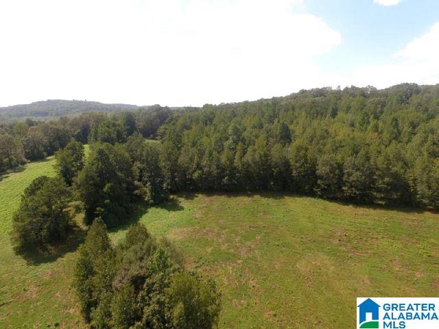 0 State Lake Road, Unit 31 ACRES Lineville, AL 36266 - Photo 4 of 15
