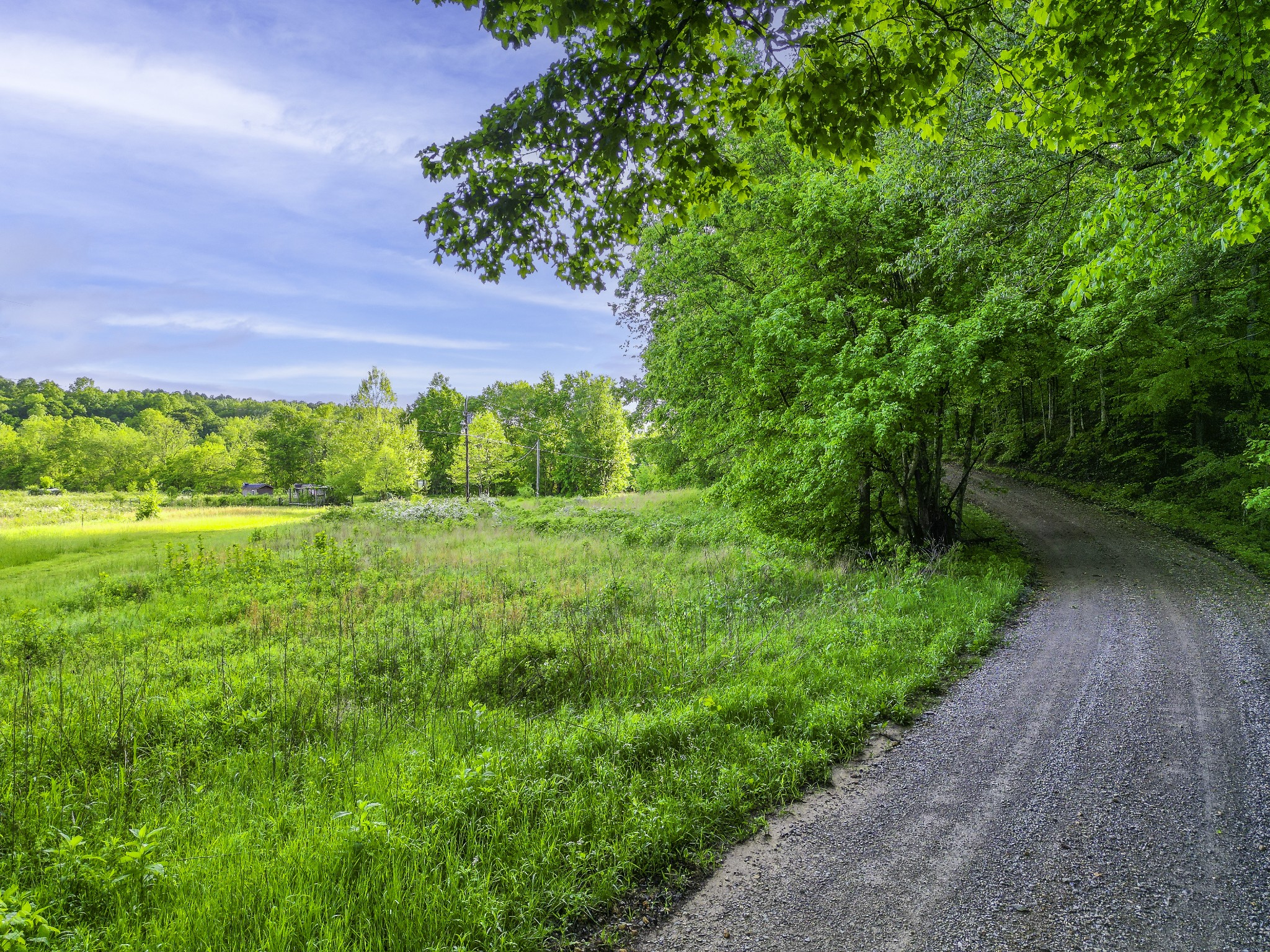165 Les Ferrell Road Stewart, TN 37175 - Photo 10 of 12 Gallery Image 10