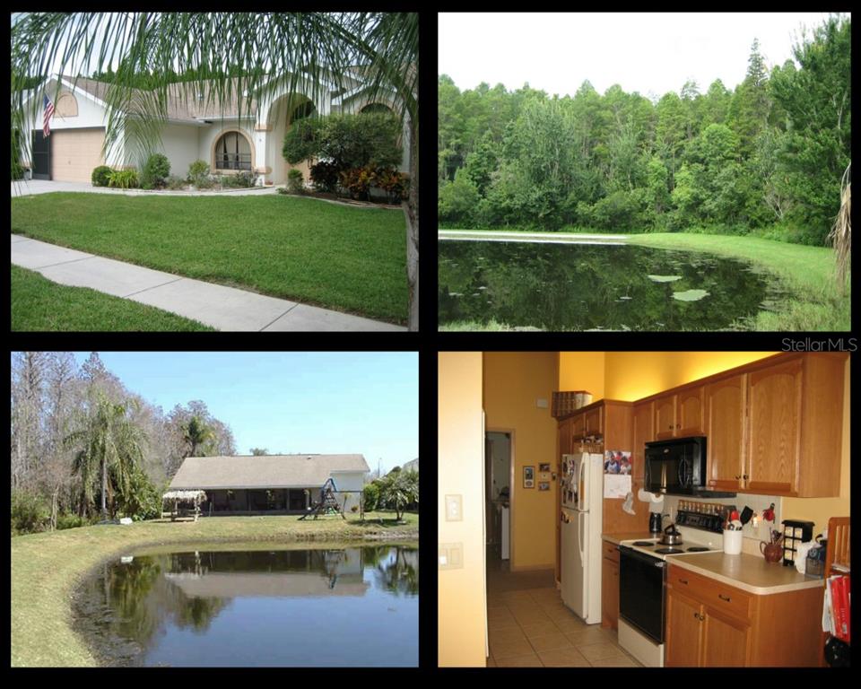 4831 Crestknoll Lane New Port Richey, FL 34653 - Photo 1 of 1